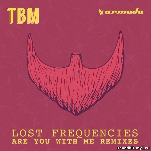 ....... Lost Frequencies - Are You With Me (Kungs Remix)