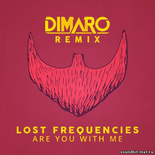 ....... Lost Frequencies- Are You With Me (DIMARO official remix)